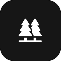 icon of two pine trees